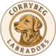 logo new corrybeg